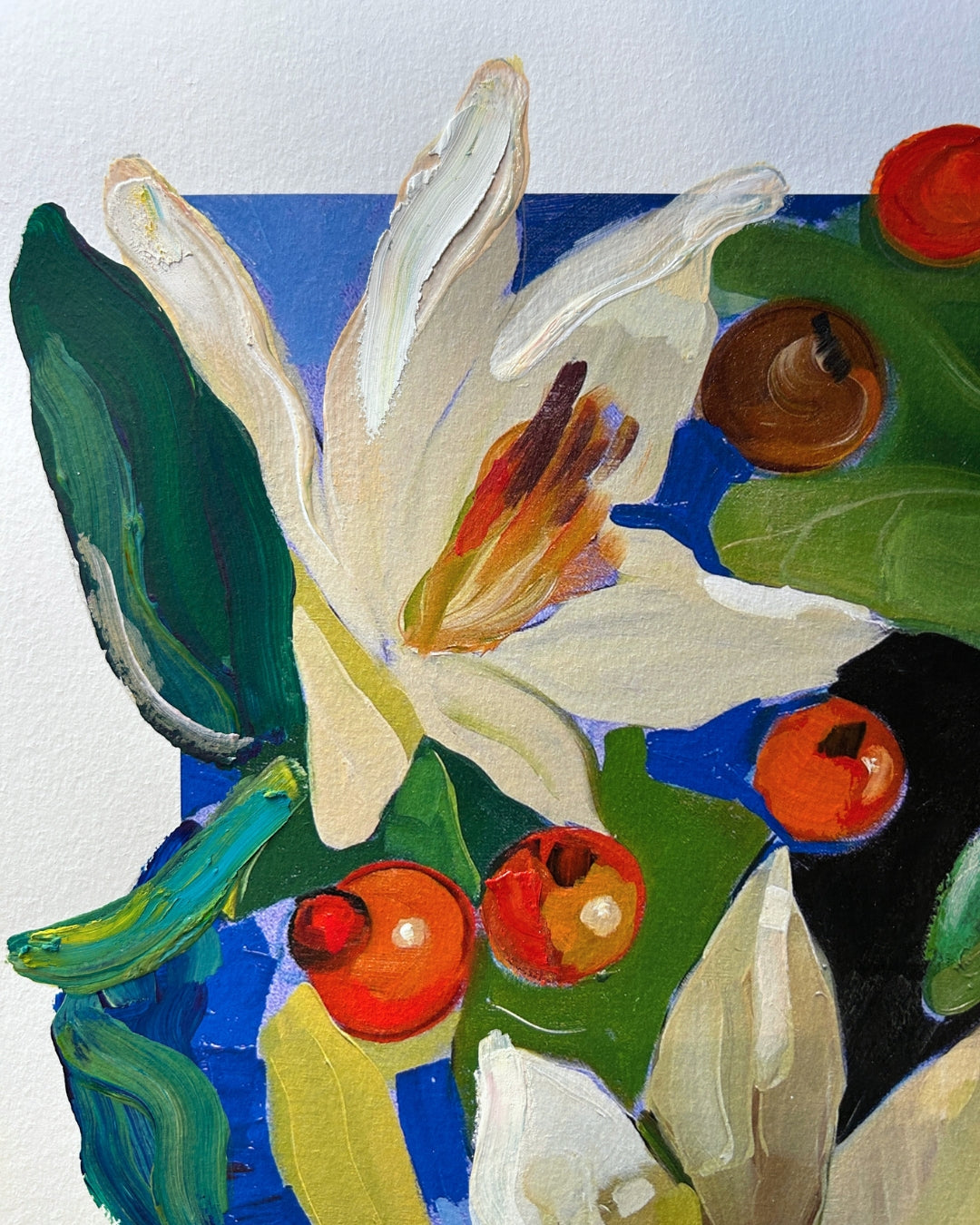 BOCEK